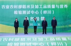图片 5